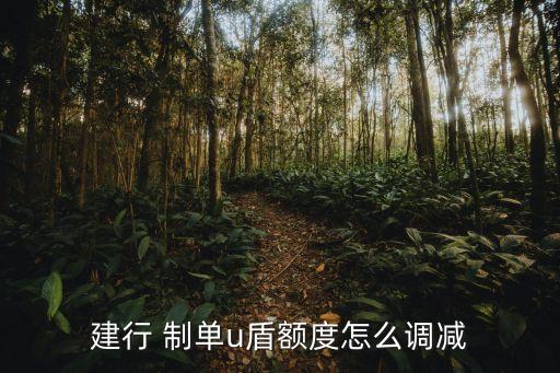 建行 制單u盾額度怎么調減