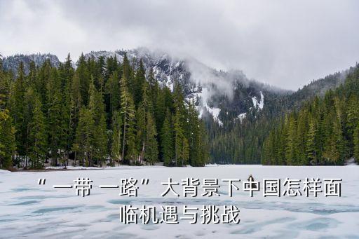 一帶一路和中國區域經濟發展