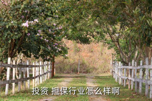 投資 擔保行業怎么樣啊