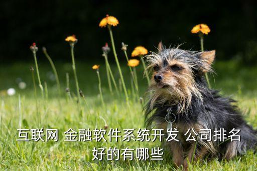 互聯網 金融軟件系統開發 公司排名好的有哪些
