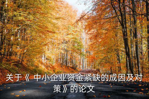 關于《 中小企業資金緊缺的成因及對策》的論文