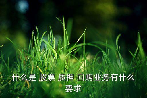 什么是 股票 質押 回購業務有什么要求