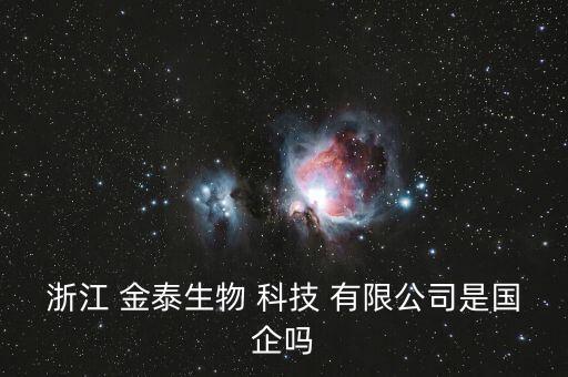湖州金泰科技有限公司破產情況,國華金泰(山東)新材料科技有限公司