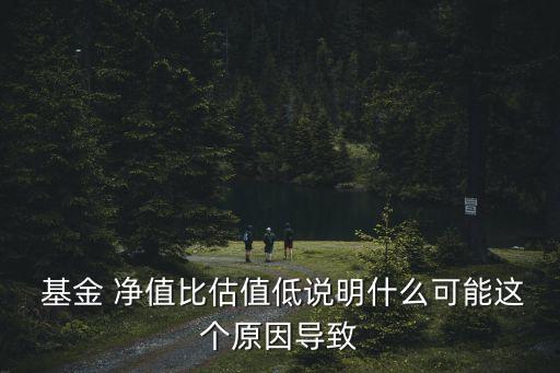  基金 凈值比估值低說明什么可能這個原因導致