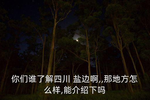鹽邊縣攀西紅格礦業有限責任公司