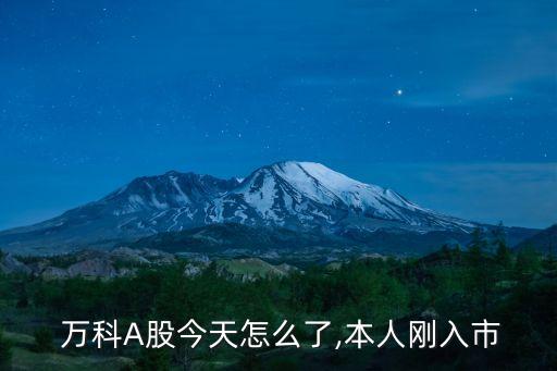 萬科企業股份有限公司財務報表