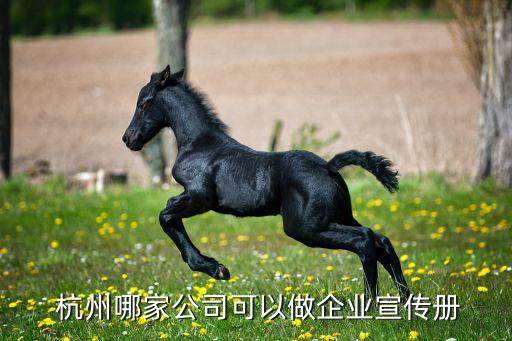  杭州哪家公司可以做企業宣傳冊