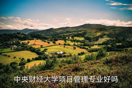 中央財經大學項目管理專業好嗎