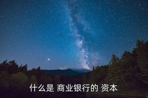 什么是 商業銀行的 資本