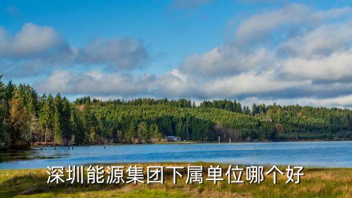 深圳市廣深實業有限公司