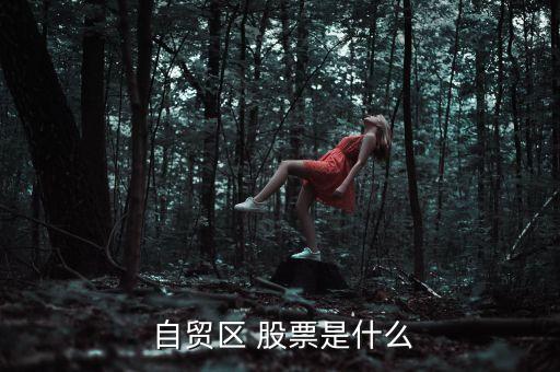  自貿區 股票是什么