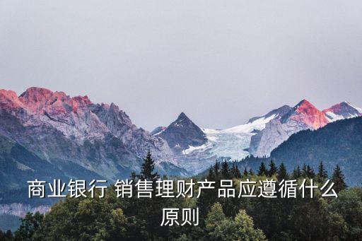 商業銀行銷售管理辦法