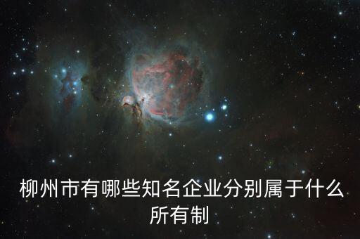 柳州市有哪些知名企業分別屬于什么所有制