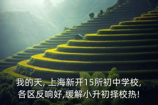我的天, 上海新開15所初中學校,各區反響好,緩解小升初擇校熱!