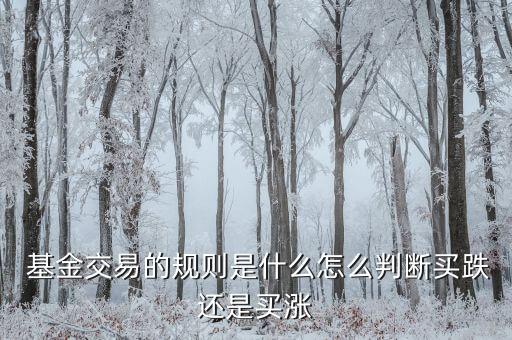  基金交易的規則是什么怎么判斷買跌還是買漲