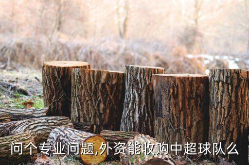 問個專業問題,外資能收購中超球隊么