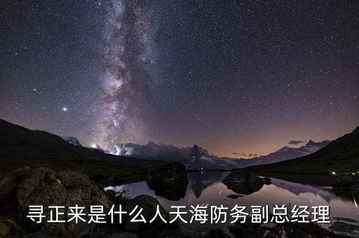 尋正來是什么人天海防務副總經理