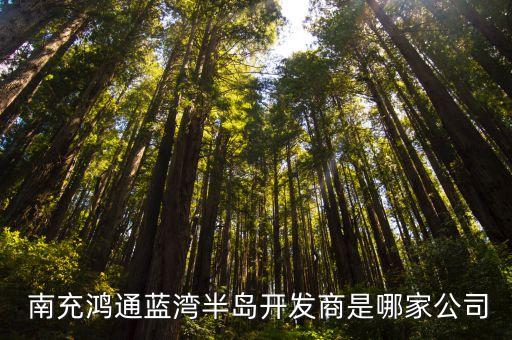 南充航慶置業有限公司,南充綠地申嘉置業有限公司