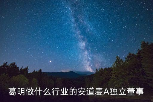 葛明做什么行業的安道麥A獨立董事