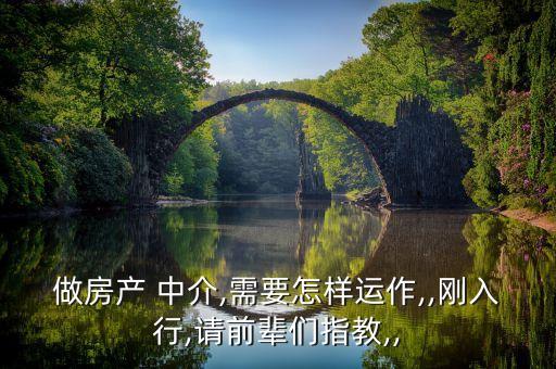 做房產 中介,需要怎樣運作,,剛入行,請前輩們指教,,