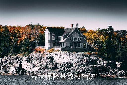 養老保險基數和檔次