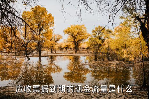 應收票據到期的現金流量是什么