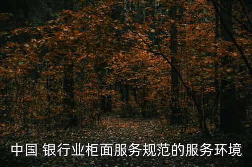 中國 銀行業(yè)柜面服務規(guī)范的服務環(huán)境
