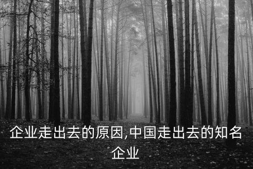 中國企業走出去的原因,中國走出去的知名企業