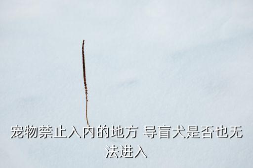 寵物禁止入內的地方 導盲犬是否也無法進入