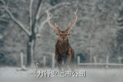 巧克力行業上市公司