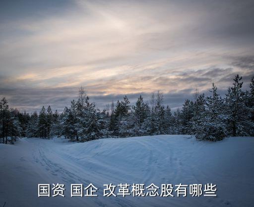 中國鋁業國企改革