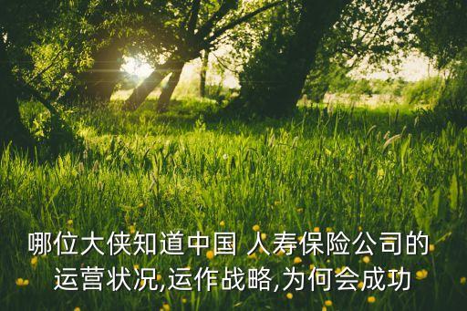 哪位大俠知道中國 人壽保險公司的 運營狀況,運作戰略,為何會成功