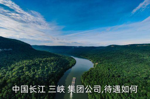三峽集團領導調整,三峽長江生態環保集團領導