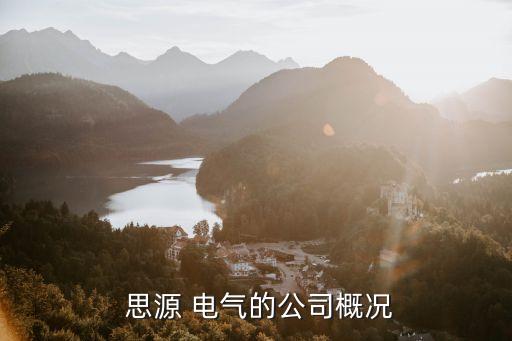 上海閔行區思源電氣,閔行區思源電氣怎么樣普工工資