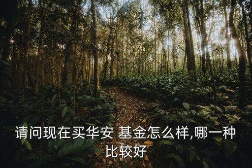 請問現在買華安 基金怎么樣,哪一種比較好