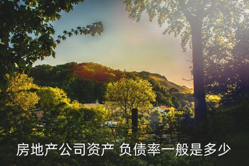 中國企業負債率