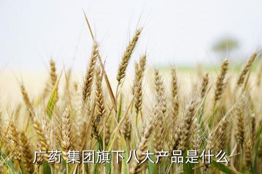 廣州白云山醫藥集團股份有限公司