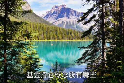 廣發新經濟股票,270050廣發新經濟混合