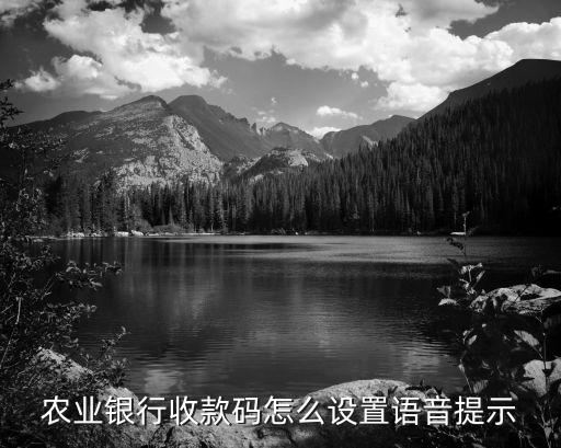 農業銀行收款碼怎么設置語音提示