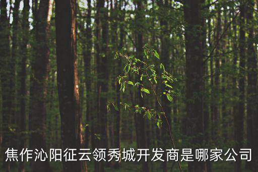 焦作沁陽征云領秀城開發商是哪家公司