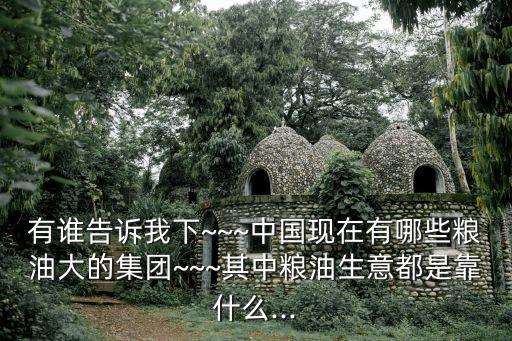 有誰告訴我下~~~中國現在有哪些糧油大的集團~~~其中糧油生意都是靠什么...