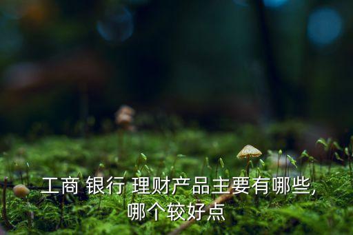  工商 銀行 理財產品主要有哪些,哪個較好點