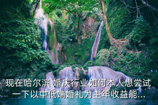 現在哈爾濱 婚慶行業如何本人想嘗試一下以中低端婚禮為主年收益能...