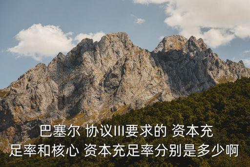  巴塞爾 協議III要求的 資本充足率和核心 資本充足率分別是多少啊