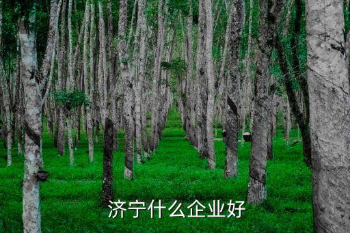  濟寧什么企業好