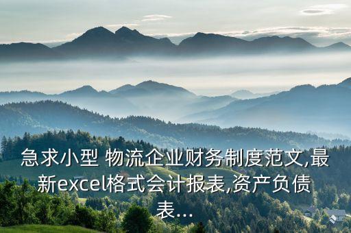 急求小型 物流企業財務制度范文,最新excel格式會計報表,資產負債表...