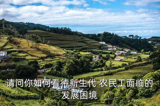請問你如何看待新生代 農民工面臨的發展困境