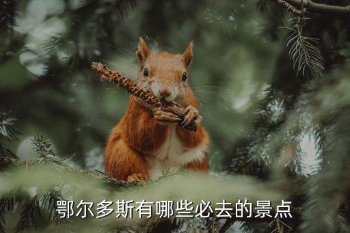 東聯旅游集團上海,上海東聯集團是做什么的