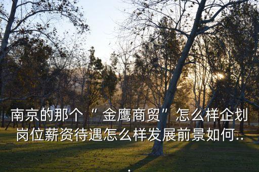 南京的那個“ 金鷹商貿”怎么樣企劃崗位薪資待遇怎么樣發展前景如何...