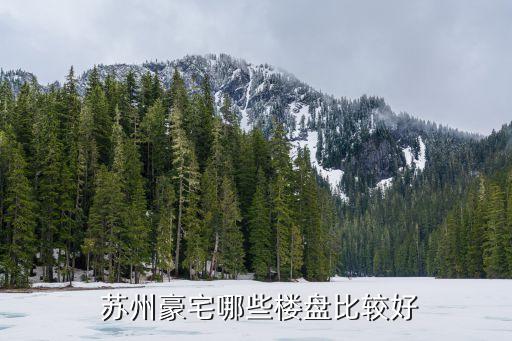 蘇州房產投資客,房產投資客是什么意思